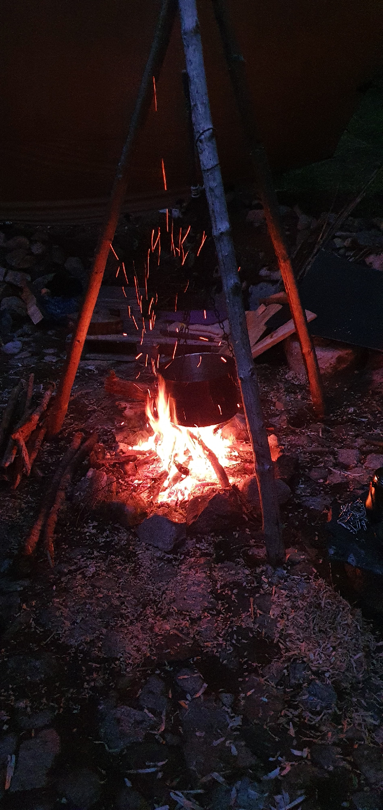 Feuer im Wald